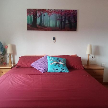 Nice Apartment With Spacious Terrass And Rooftop ลอสอัลกาซาเรส ภายนอก รูปภาพ